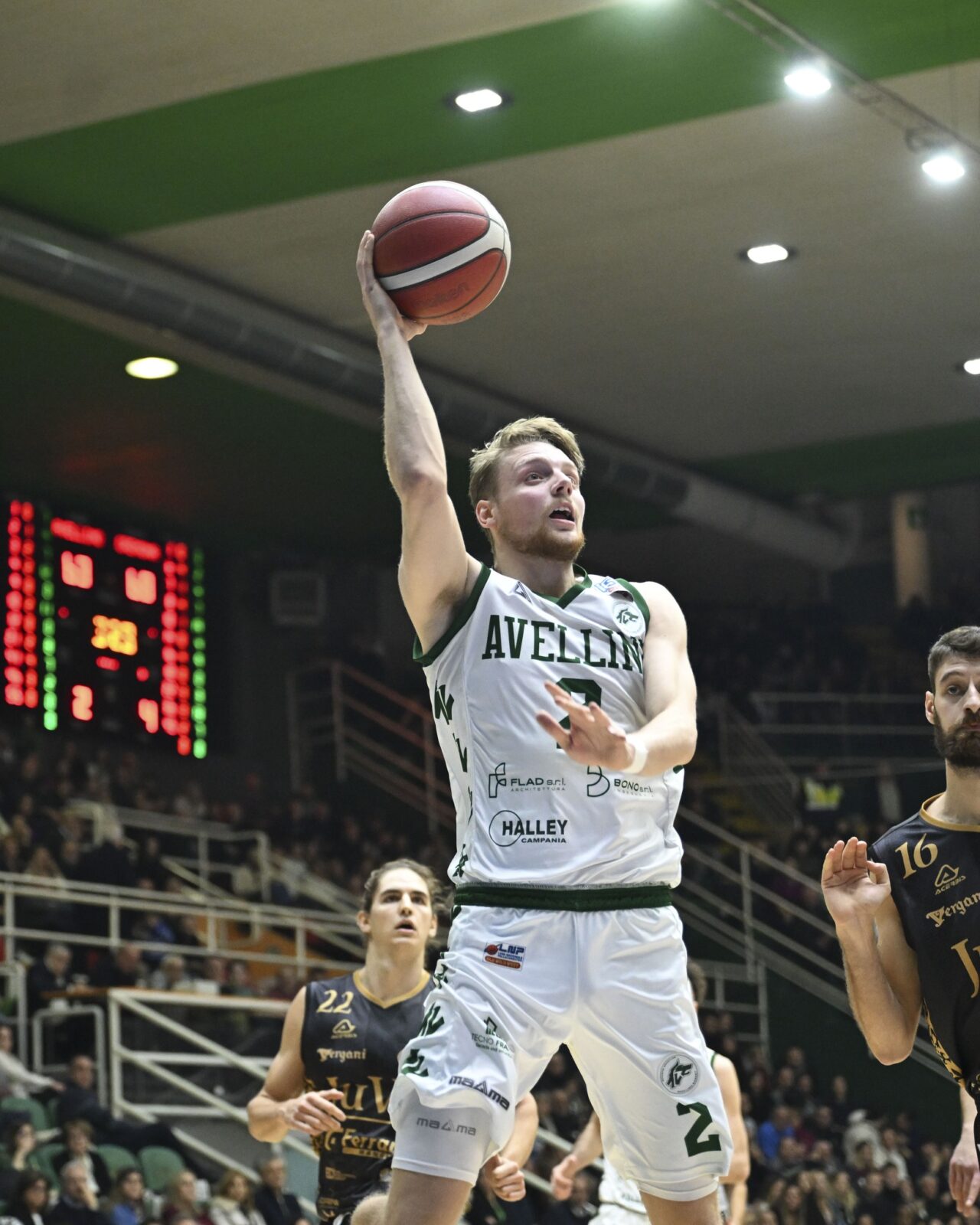 L’Avellino Basket riparte: stasera c’è Piacenza